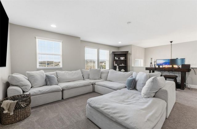 19484 BLOSSOM VINE LANE, Lutz, FL 33558