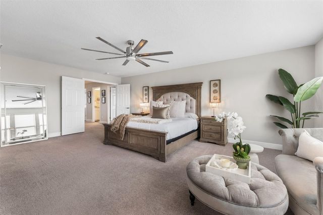 19484 BLOSSOM VINE LANE, Lutz, FL 33558