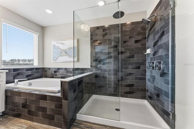 19484 BLOSSOM VINE LANE, Lutz, FL 33558