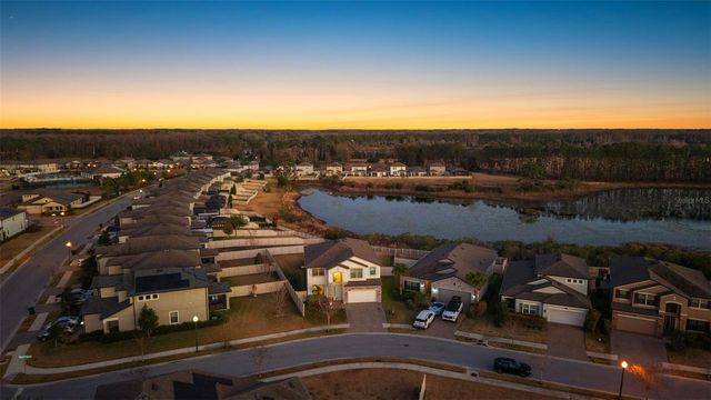 19484 BLOSSOM VINE LANE, Lutz, FL 33558