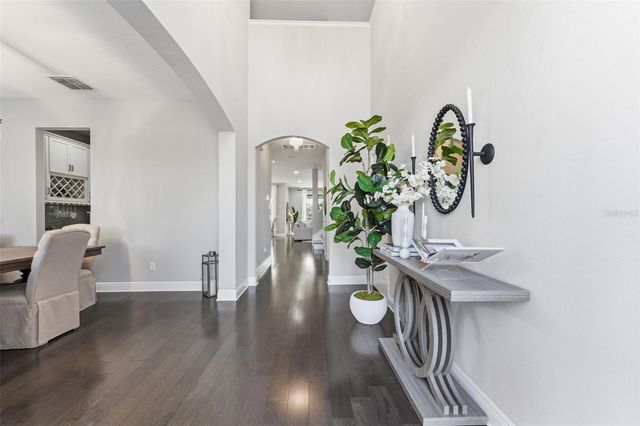 19484 BLOSSOM VINE LANE, Lutz, FL 33558