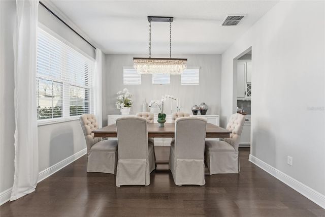 19484 BLOSSOM VINE LANE, Lutz, FL 33558