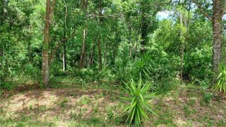 DAVISTA, New Port Richey, FL 34654