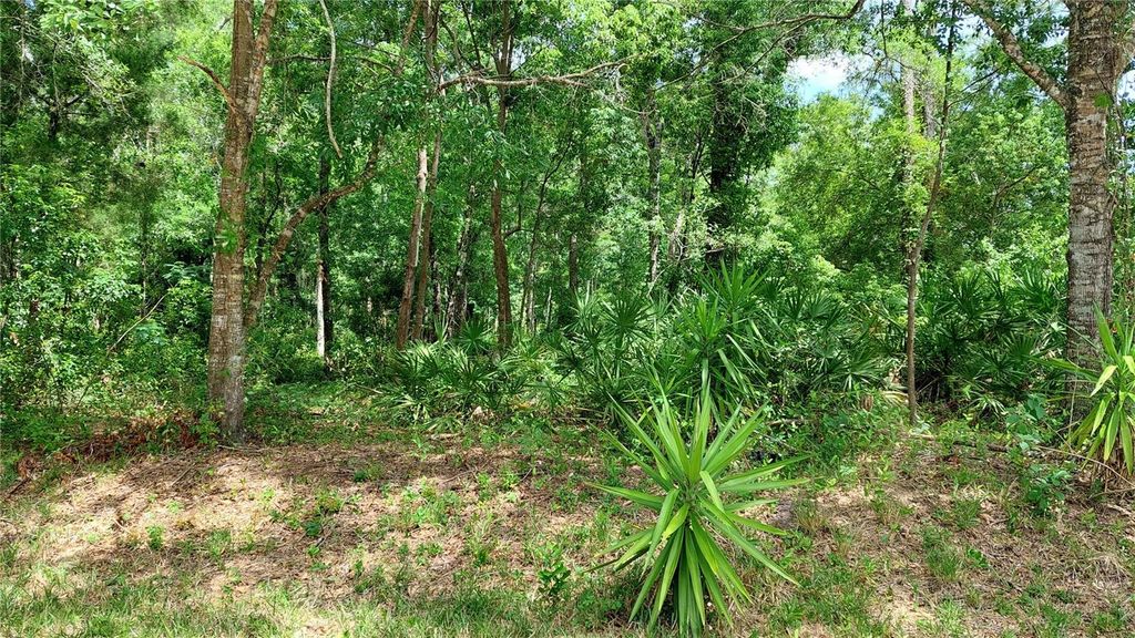 DAVISTA, New Port Richey, FL 34654