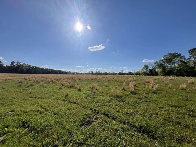 3585 Highway 11, Daingerfield, TX 75638