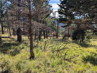 2127 Sigler Drive, Fort Garland, CO 81133