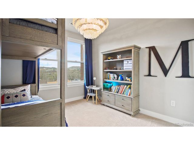 20 Wilcox St 302, Castle Rock, CO 80104