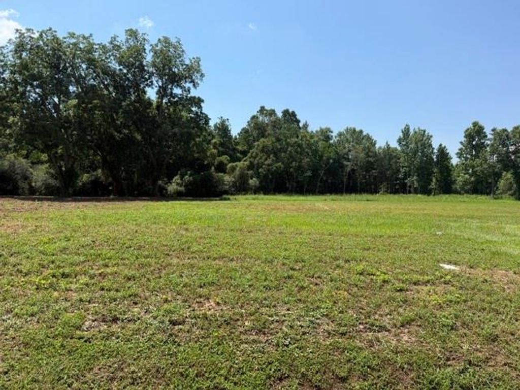 11849 Airport Boulevard, Mobile, AL 36695 — photo 4