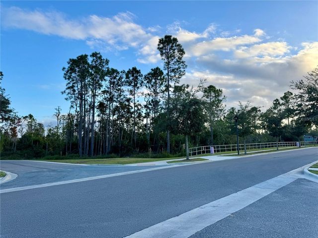 13333 GORGONA ISLE DRIVE, Windermere, FL 34786