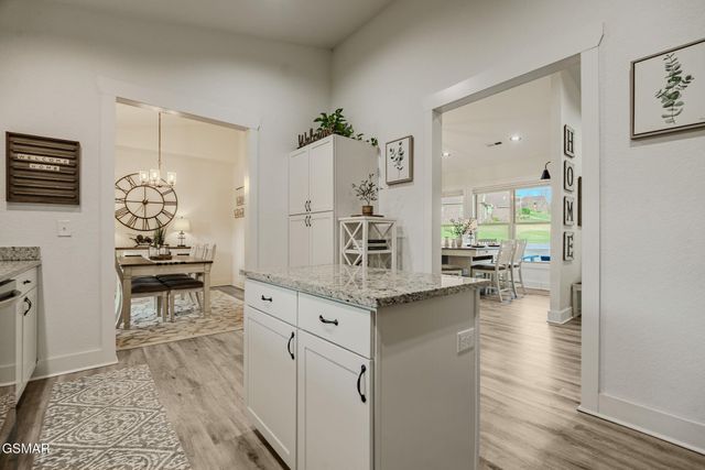 1811 Ally Lane, Sevierville, TN 37876