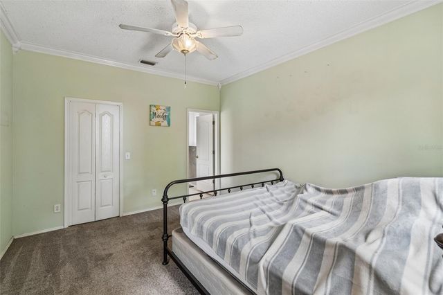 912 GRAND CANYON DRIVE, Valrico, FL 33594
