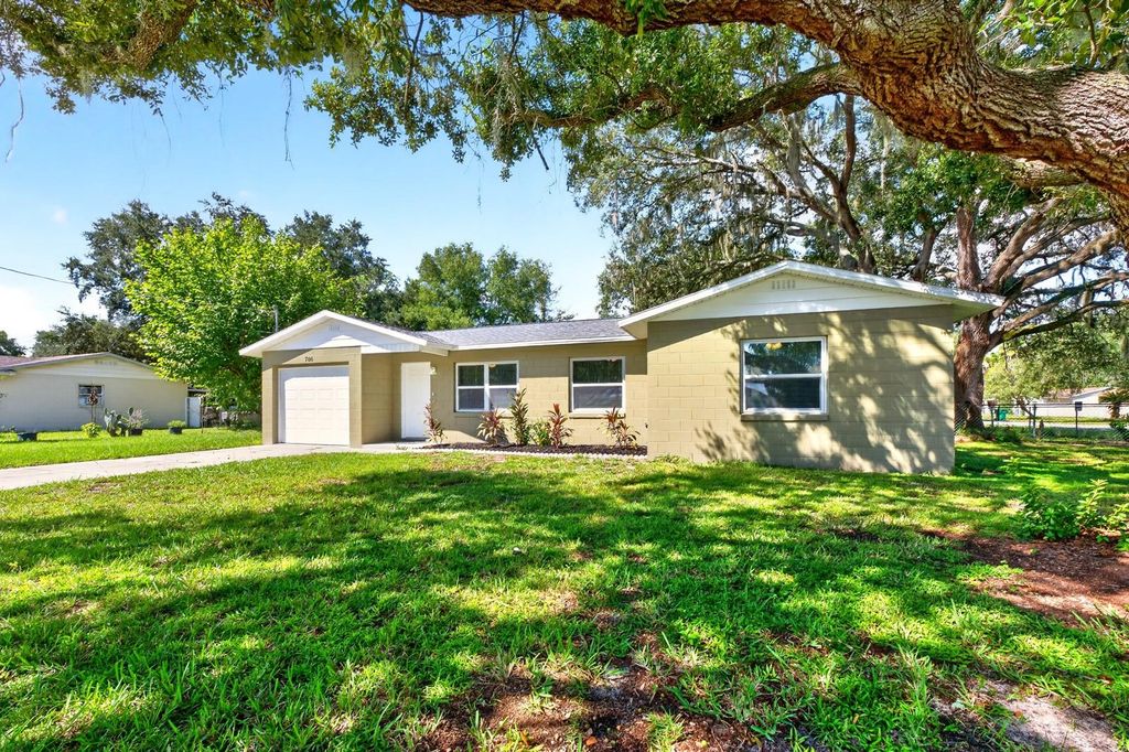 706 ELM AVENUE, Fruitland Park, FL 34731