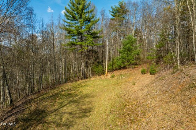 Tbd Big Dry Run Road, Mountain City, TN 37683