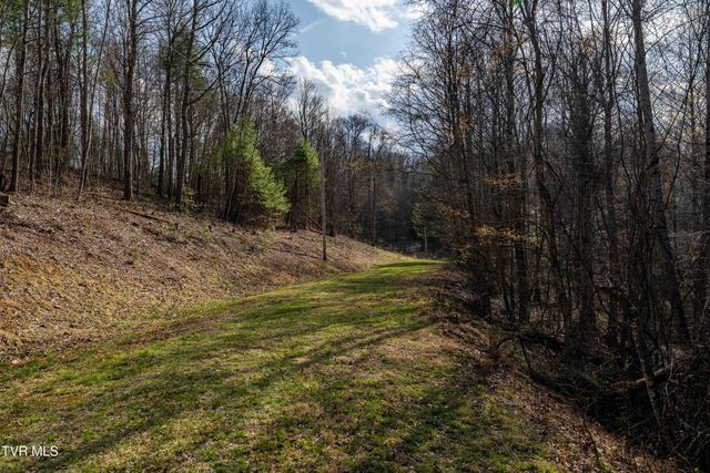 Tbd Big Dry Run Road, Mountain City, TN 37683