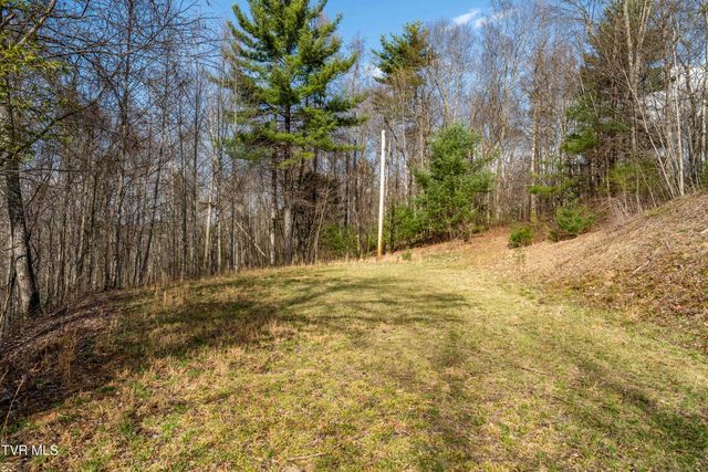 Tbd Big Dry Run Road, Mountain City, TN 37683