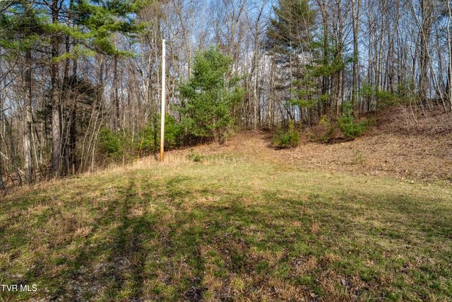 Tbd Big Dry Run Road, Mountain City, TN 37683