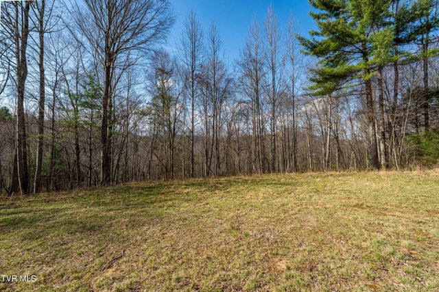 Tbd Big Dry Run Road, Mountain City, TN 37683