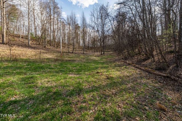 Tbd Big Dry Run Road, Mountain City, TN 37683