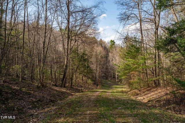 Tbd Big Dry Run Road, Mountain City, TN 37683