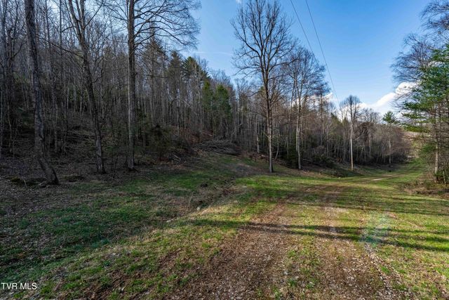 Tbd Big Dry Run Road, Mountain City, TN 37683