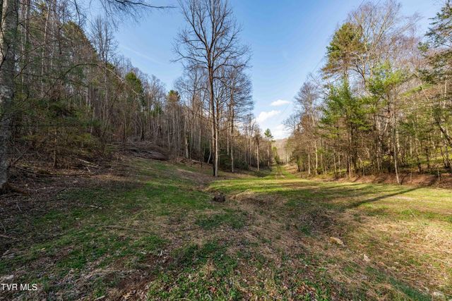 Tbd Big Dry Run Road, Mountain City, TN 37683