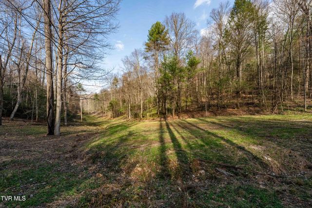 Tbd Big Dry Run Road, Mountain City, TN 37683