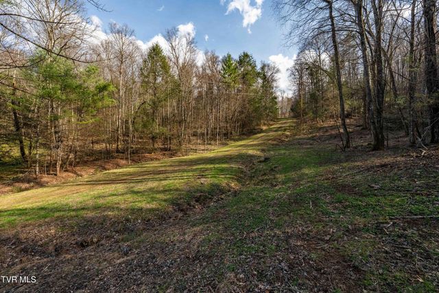 Tbd Big Dry Run Road, Mountain City, TN 37683