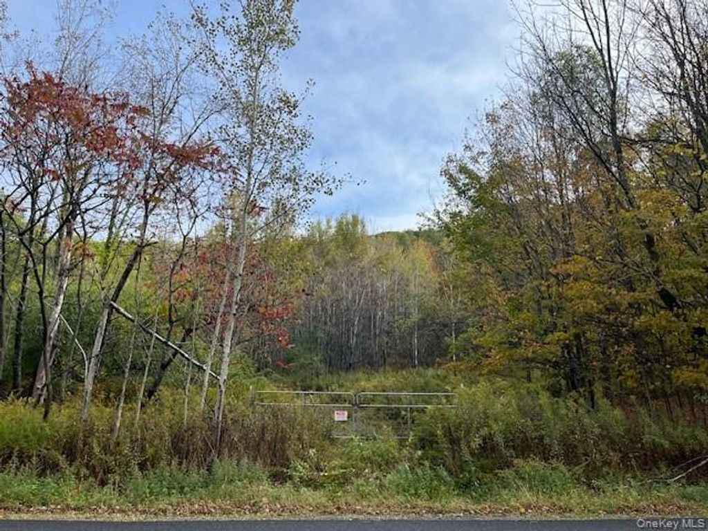 Ferndale Loomis Road NE, Liberty, NY 12754