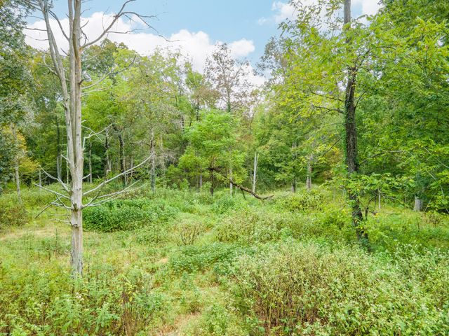 1520 Powell Ln, Lewisburg, TN 37091