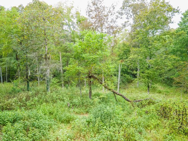 1520 Powell Ln, Lewisburg, TN 37091