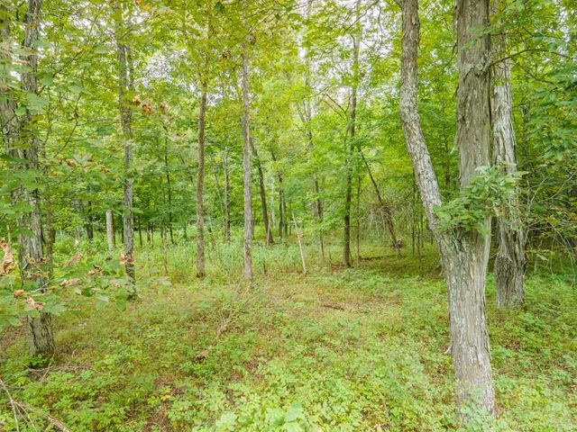 1520 Powell Ln, Lewisburg, TN 37091