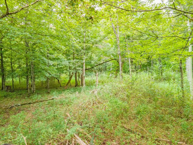 1520 Powell Ln, Lewisburg, TN 37091