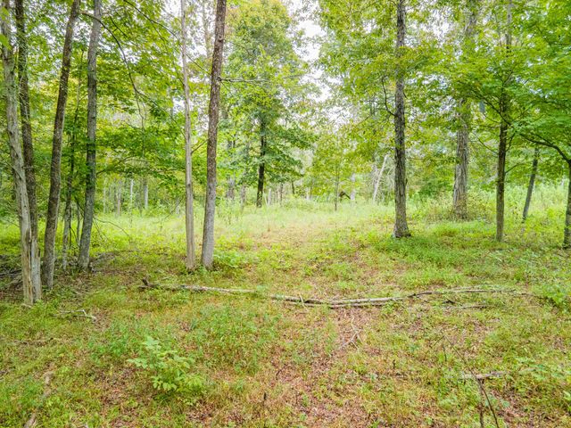 1520 Powell Ln, Lewisburg, TN 37091