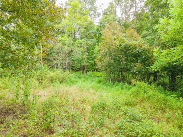 1520 Powell Ln, Lewisburg, TN 37091