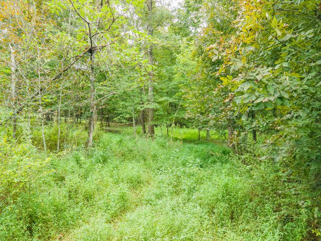 1520 Powell Ln, Lewisburg, TN 37091