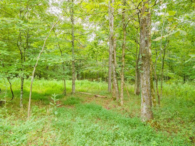 1520 Powell Ln, Lewisburg, TN 37091