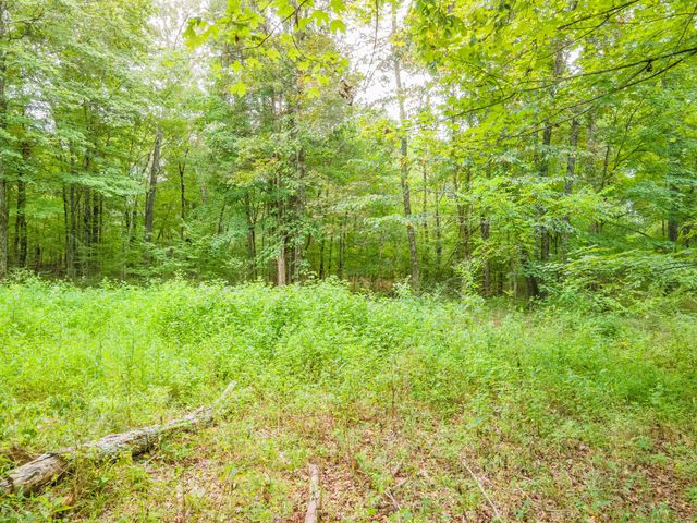 1520 Powell Ln, Lewisburg, TN 37091