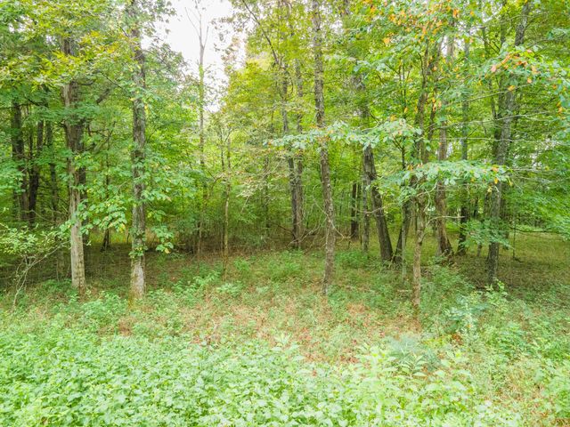 1520 Powell Ln, Lewisburg, TN 37091