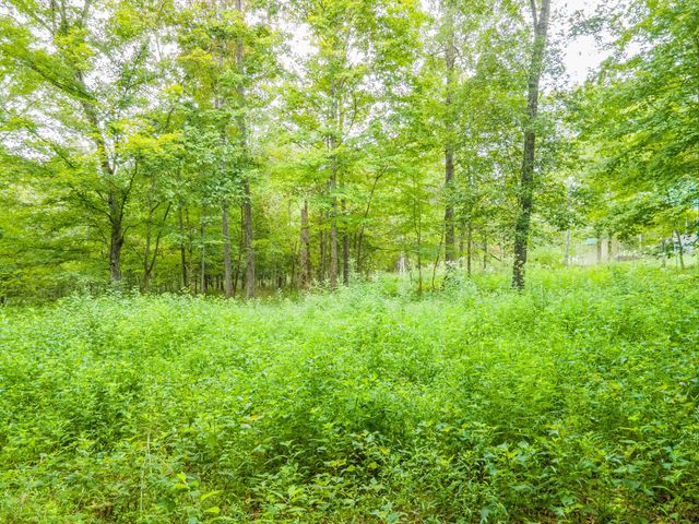 1520 Powell Ln, Lewisburg, TN 37091