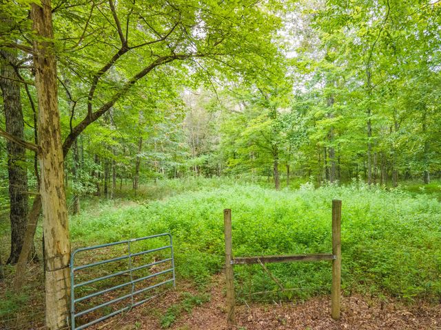 1520 Powell Ln, Lewisburg, TN 37091