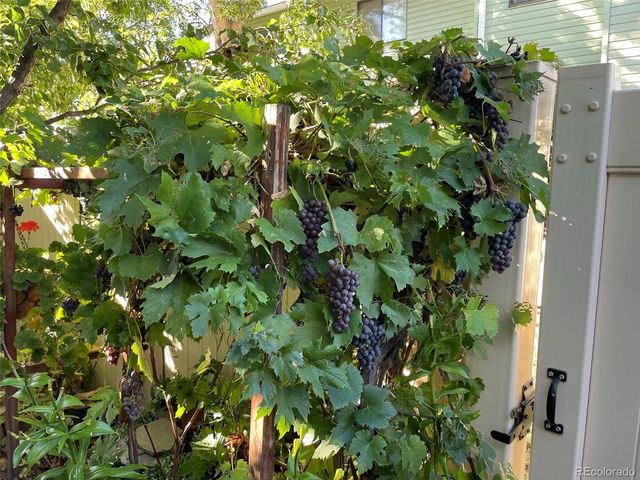 2029 Gyros Circle 164, Lafayette, CO 80026