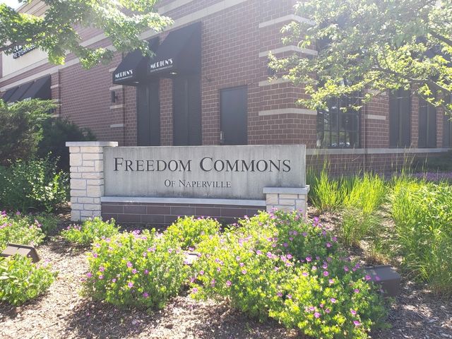 1221 Josiah Road 1221, Naperville, IL 60563