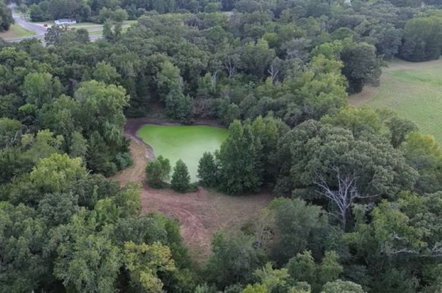 TBD W HWY 80, Mineola, TX 75773