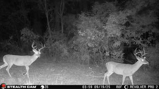 TBD W HWY 80, Mineola, TX 75773