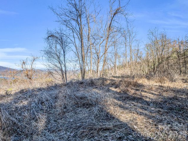 0 Clear Creek Trail 30, Lake Lure, NC 28746