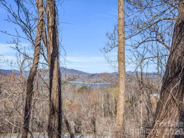 0 Clear Creek Trail 30, Lake Lure, NC 28746