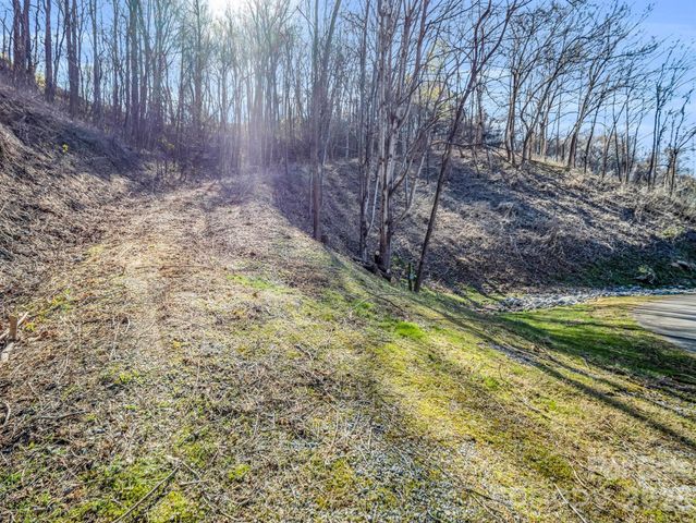 0 Clear Creek Trail 30, Lake Lure, NC 28746