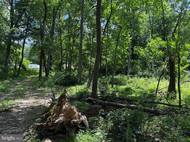 81 CABIN RD, Augusta, WV 26704