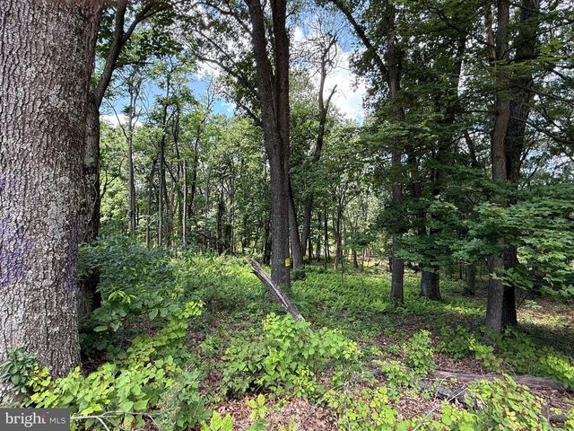 81 CABIN RD, Augusta, WV 26704