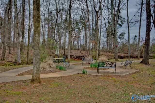 8599 Bellewood Lane, Madison, AL 35756